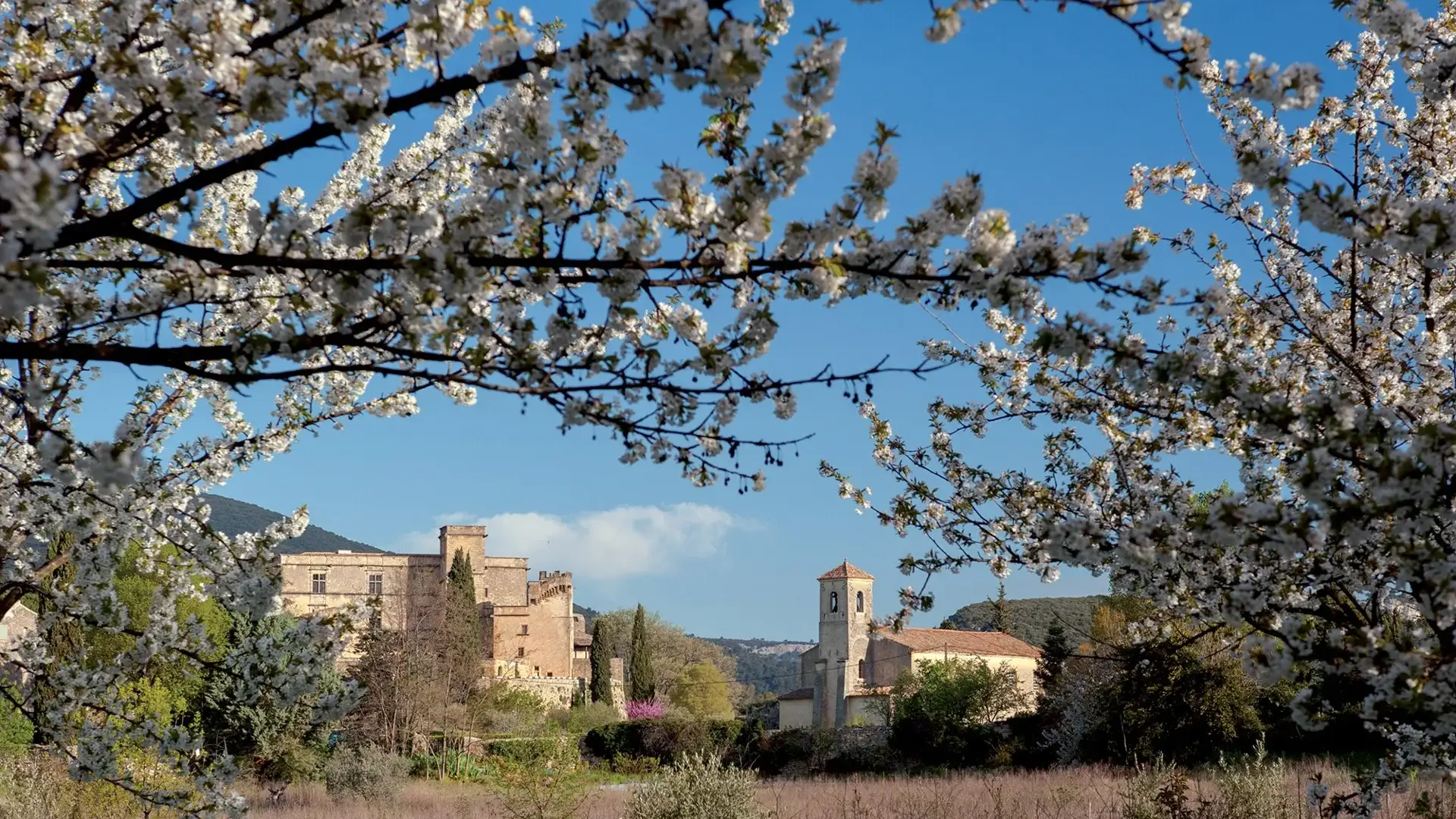 Lourmarin vue printanière